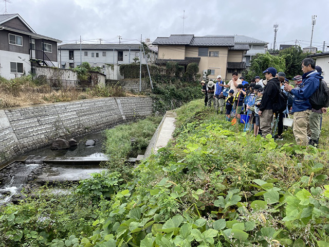 魚道の紹介