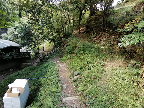 分岐から傾斜土槽までの全景